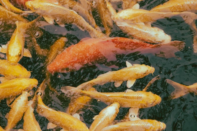 Underwater World